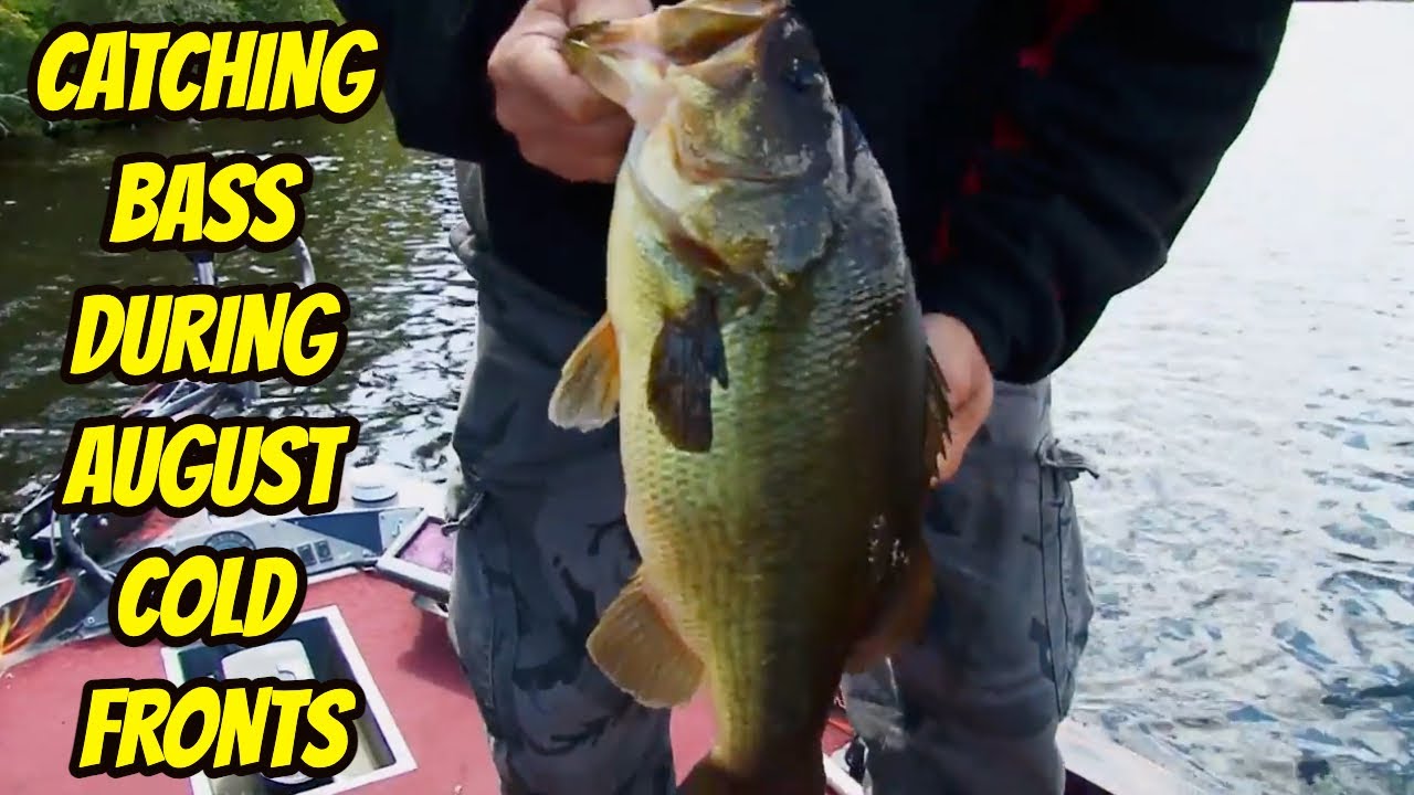 CATCHING BASS DURING AUGUST COLD FRONTS- Timely Topics for Bass