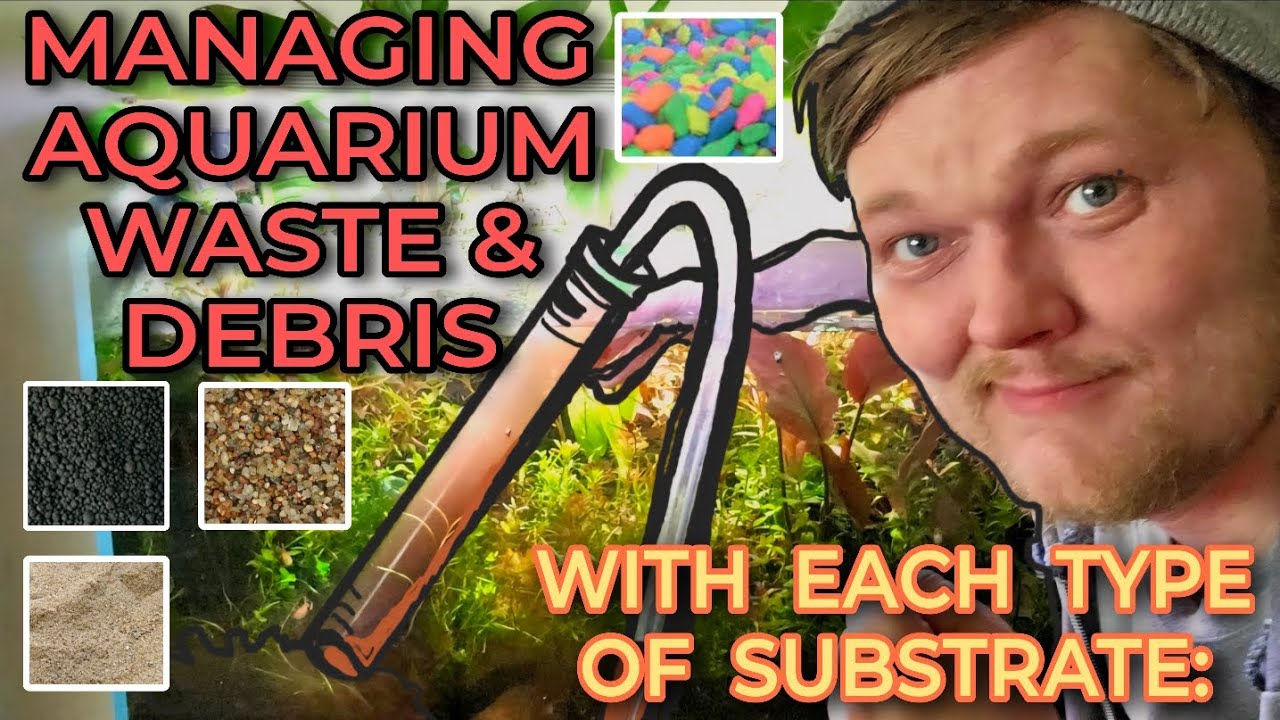 Mulm Managment: How to Clean & Maintain  Different Substrates & Waste: Gravel, Sand, Soil & Dirt.
