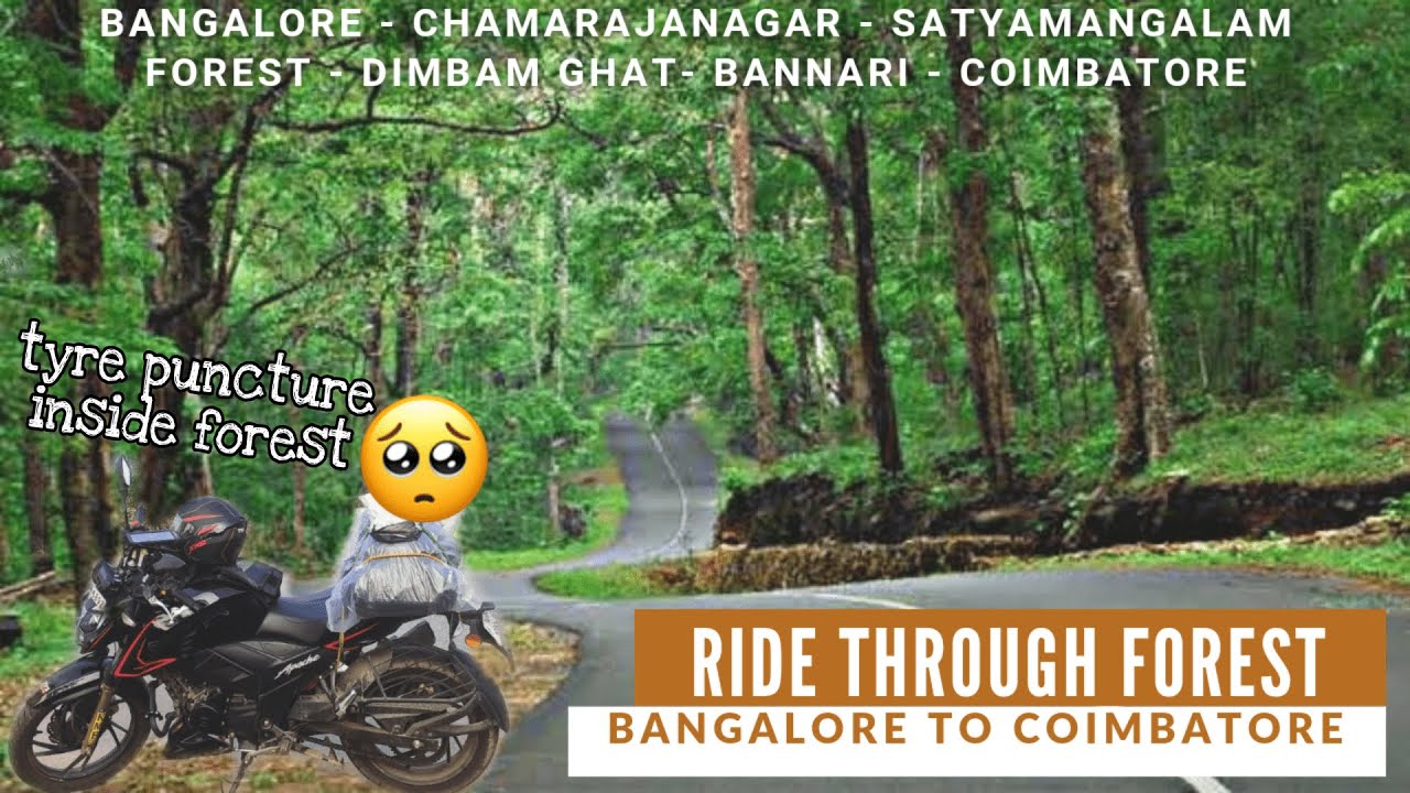 Bangalore ➜ Coimbatore | Bike Trip | Sathyamangalam Forest | Dimbam Ghat | SamMon VISION #motovlog