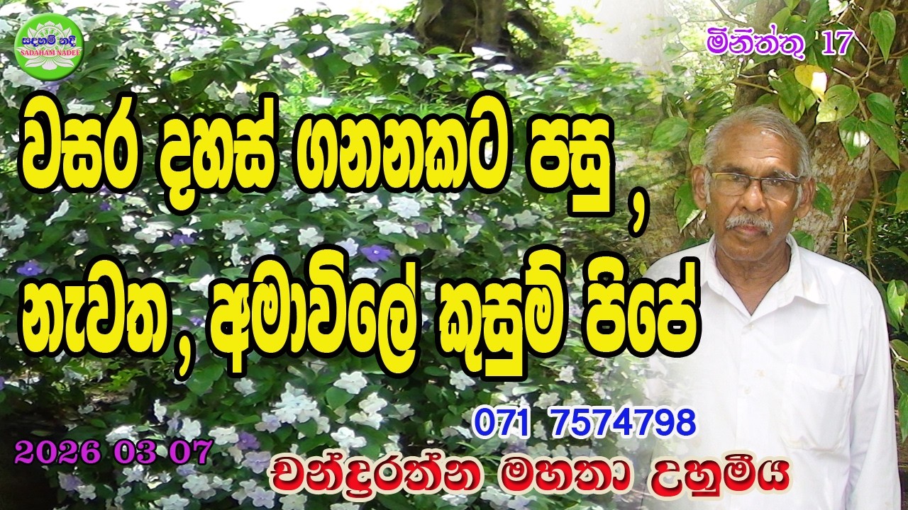 වසර දහස් ගනනකට පසු නැවත අමාවිලේ කුසුම් පිපේ