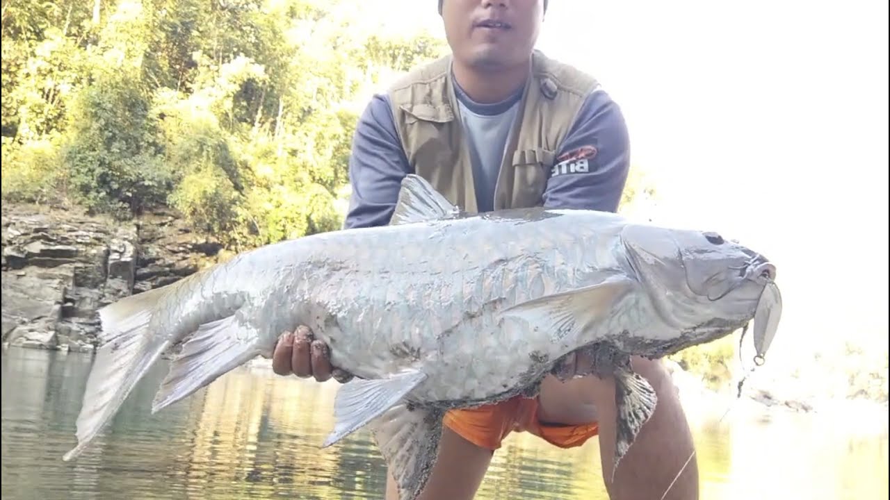 Kameng river trip 2.1