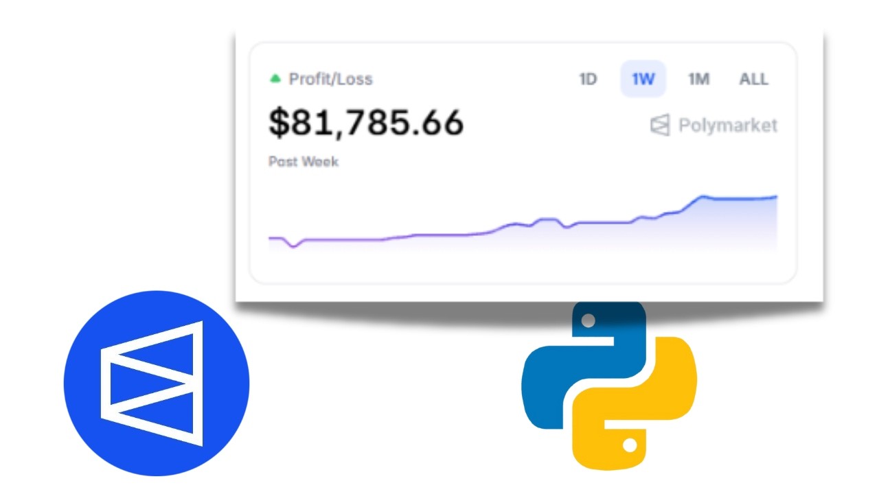 HOW TO FIND AND COPY TRADE WALLETS IN POLYMARKET