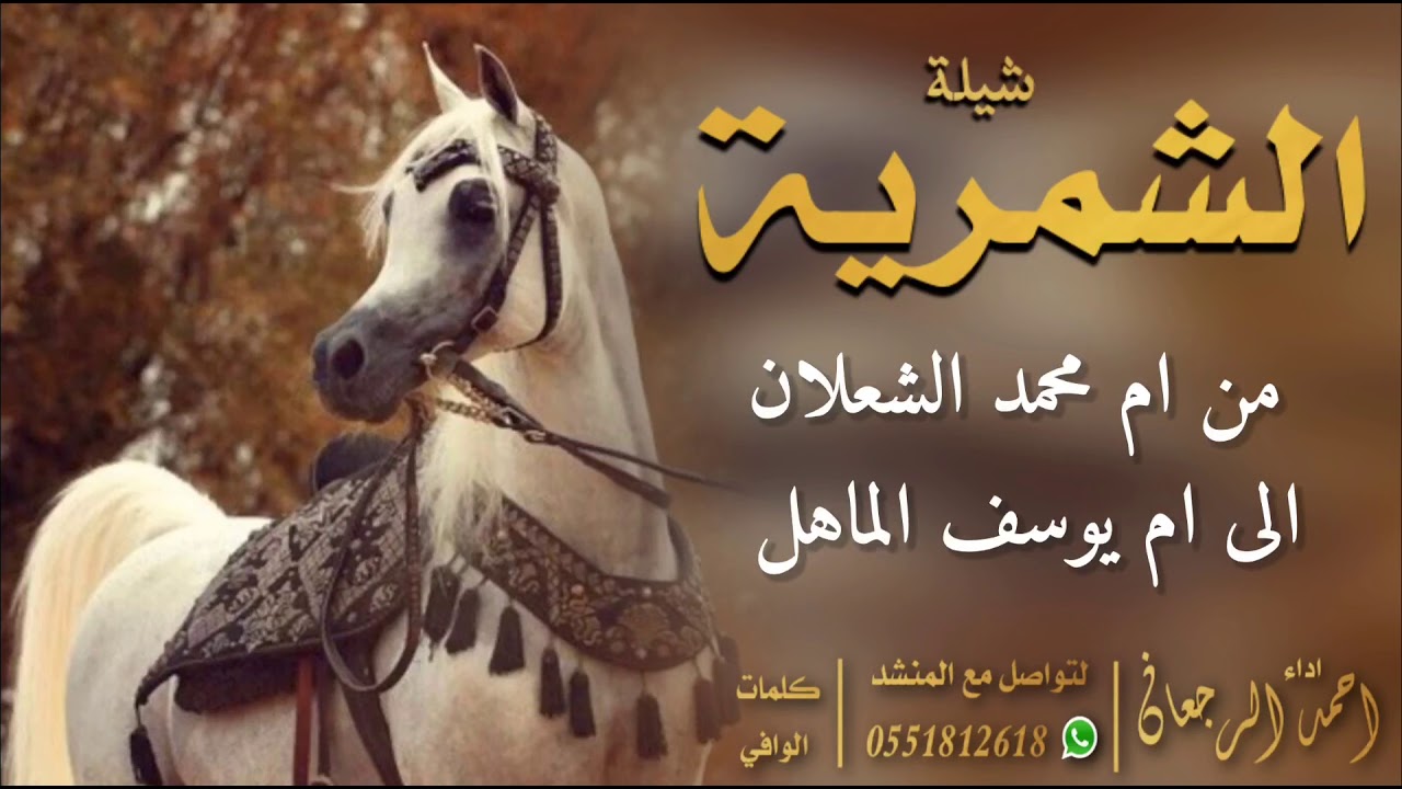 شيلة الشمرية || احمد الرجعان (حصرياً) 2021