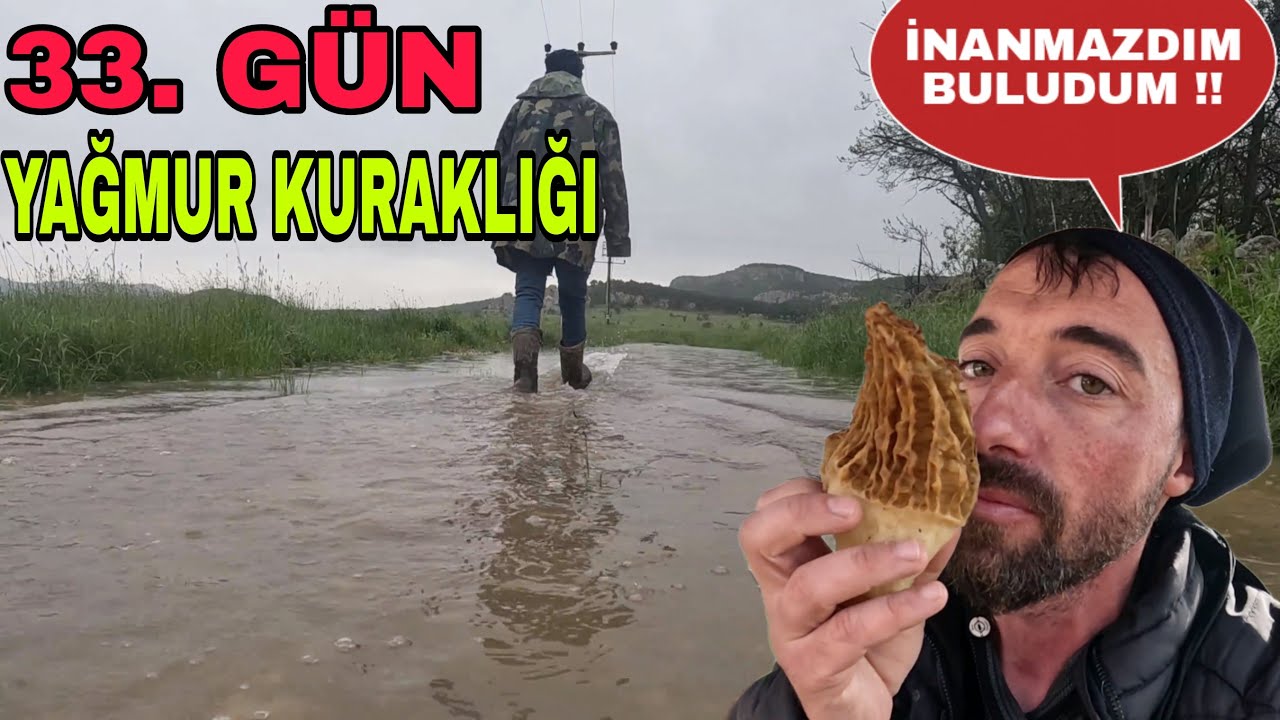 33.GÜN ! YAĞMUR KITLIĞI OLURMU?ÇÜRÜYORLAR~İNANMAZDIM BULDUM