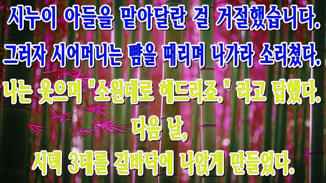 싫으면 꺼져! 시누이 아들 맡기를 거부하자 뺨을 때린 시어머니  저는 웃으며 소원을 들어드렸고, 다음 날 시댁 3대는 길바닥에 나앉았습니다