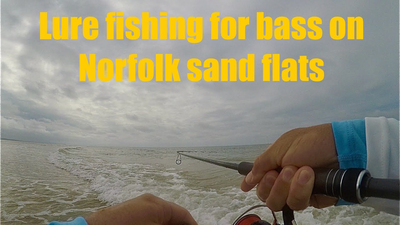 Lure fishing for bass on Norfolk sand flats (race against the tide!) #bassfishing #fishing #fish 