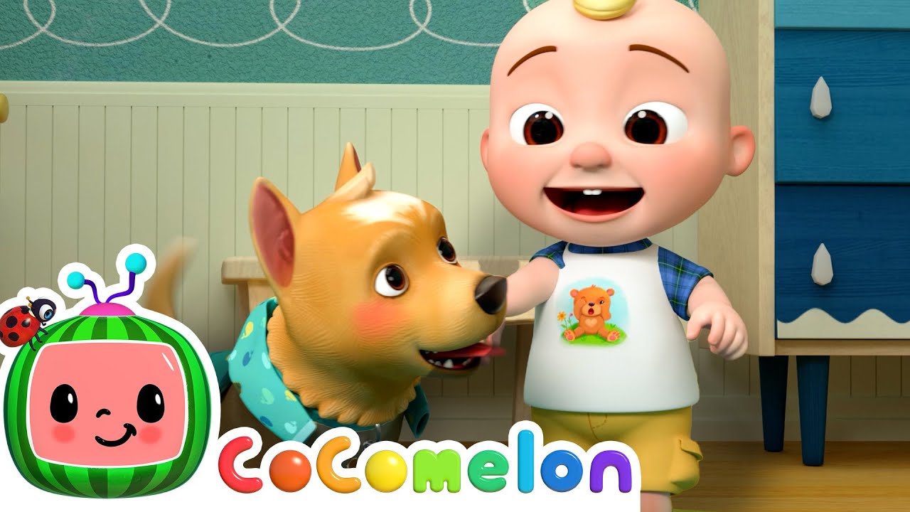 Pet Care - Our pets love us! | CoComelon Animal Time | Animals for Kids