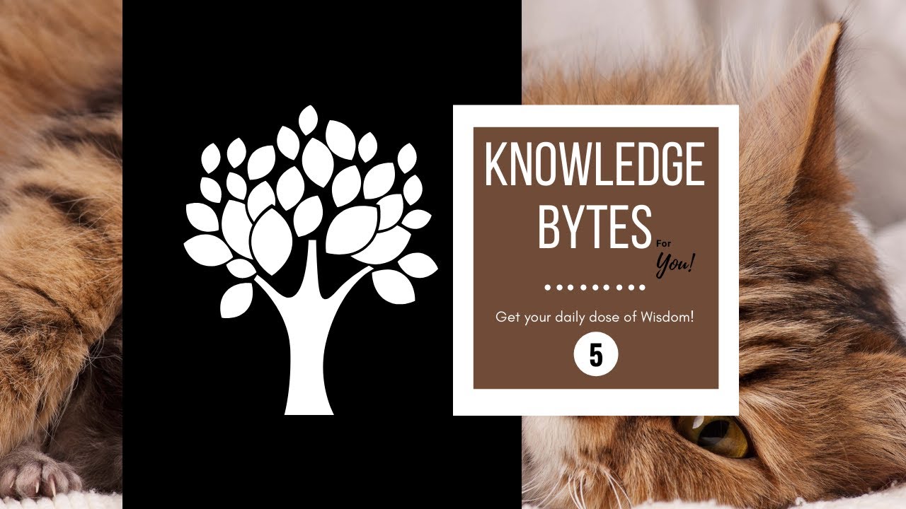 5. Knowledge Bytes - Amazing Facts
