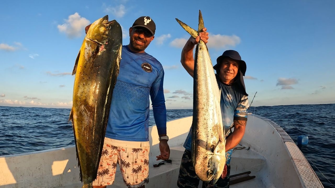 PESCARIA DE MAHI-MAHI - Dourado Assado na Brasa