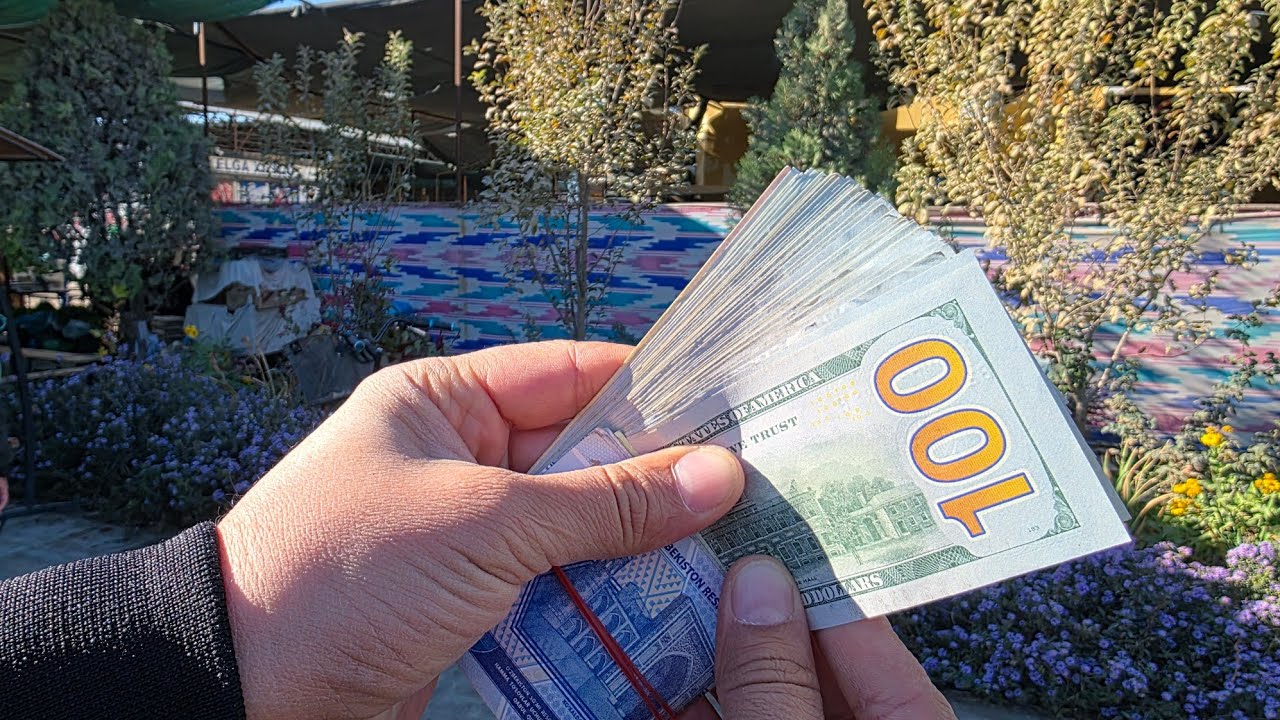 Bugungi yangilik Urganch dehqon bozor dollar kursi 10.11.2025