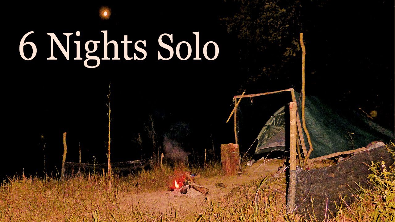 6 Nights With Nature      /// solo wild camp / golden jackal / bough bed fence shelter