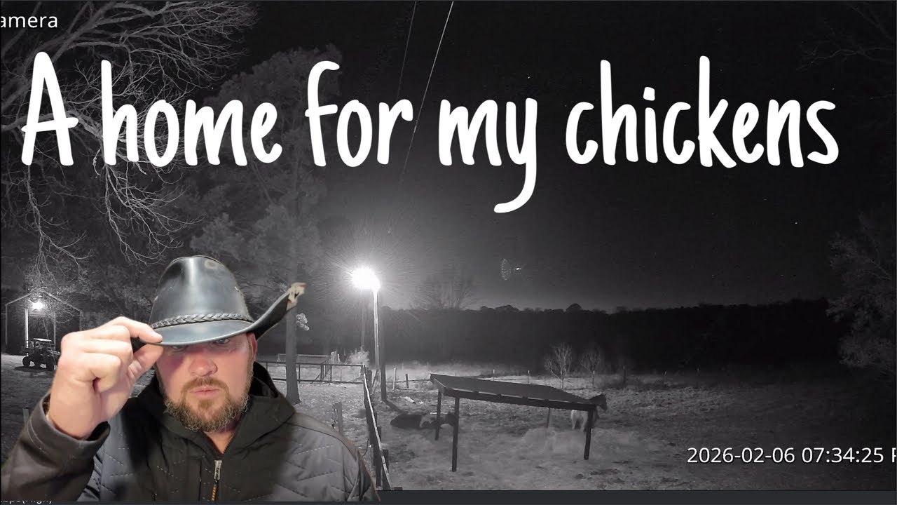 Working on Chicken Coop