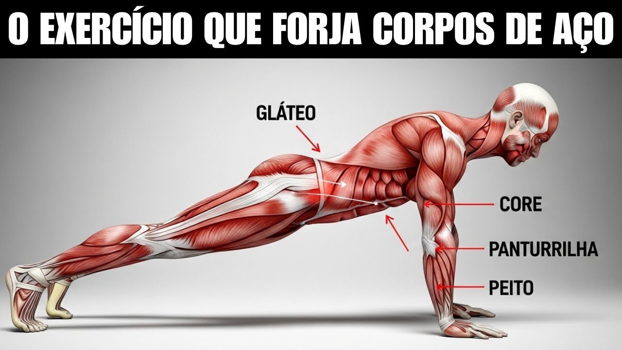 O TREINO MILITAR QUE FAZ SEU CORPO EXPLODIR SEM ACADEMIA E SEM PESOS!
