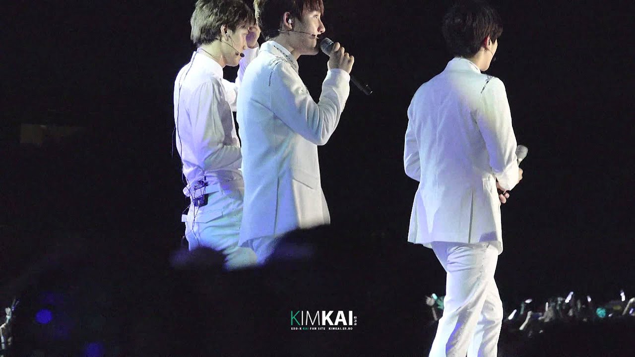 140831 롯데 패밀리 콘서트 - 늑미+피터팬(kai focus)