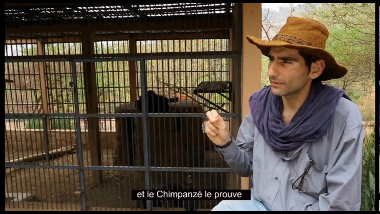 FAUNE DU MALI 2eme PARTIE