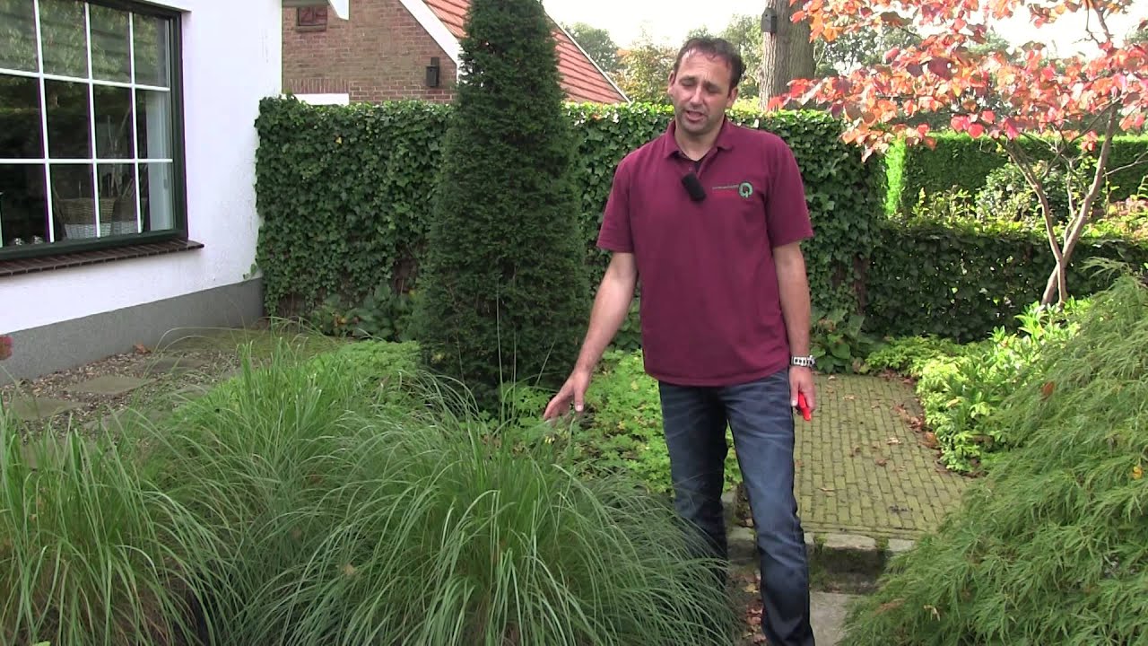 Siergras Pennisetum - twishgarden.nl
