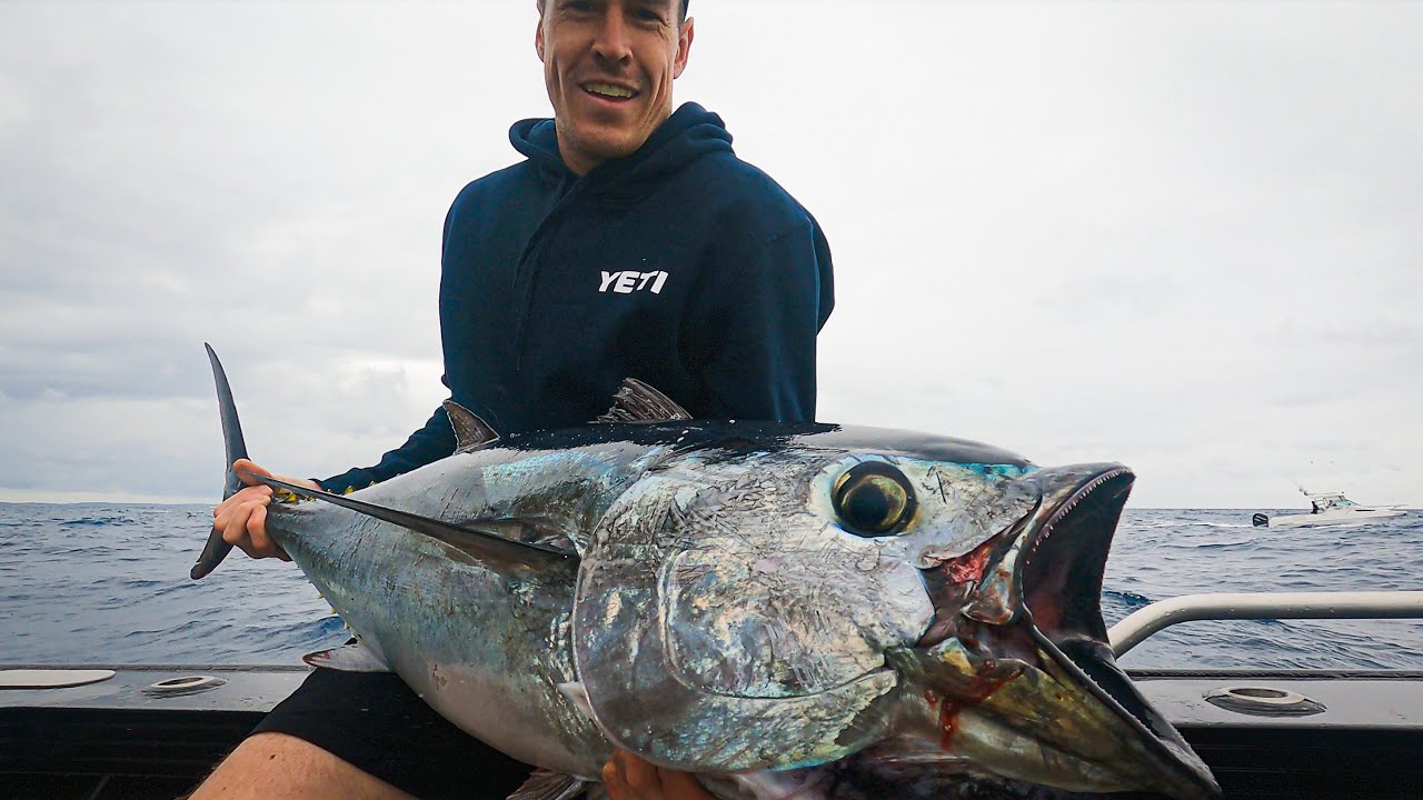 My First Geelong Bluefin Tuna