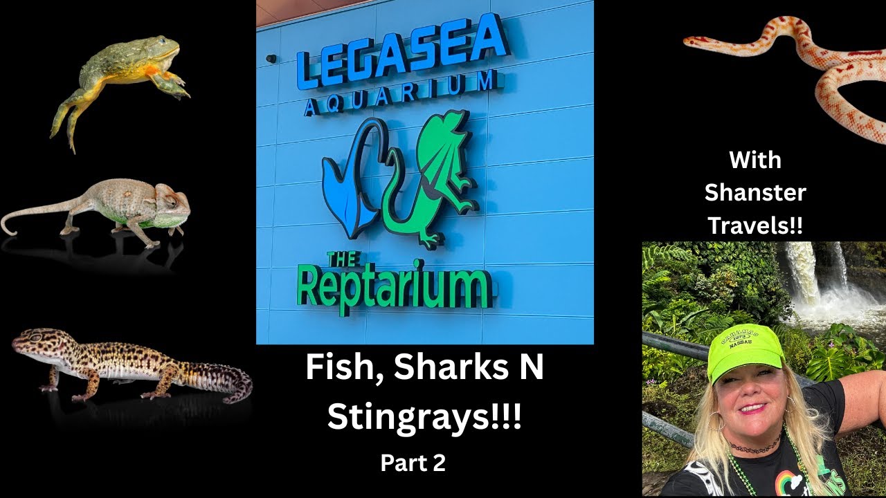 Visit the Awesome Legasea Aquarium in Utica Michigan!Part 2