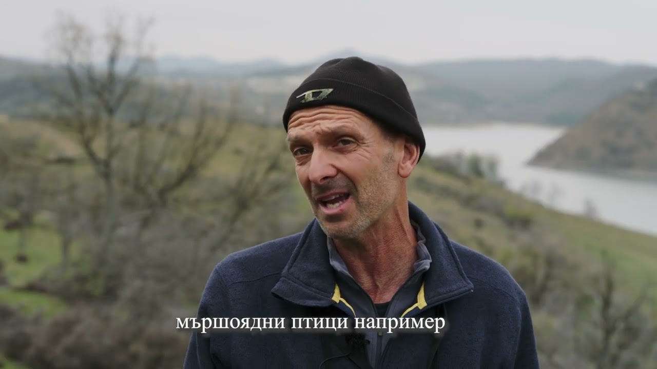 Завръщането на дивата природа в Родопите