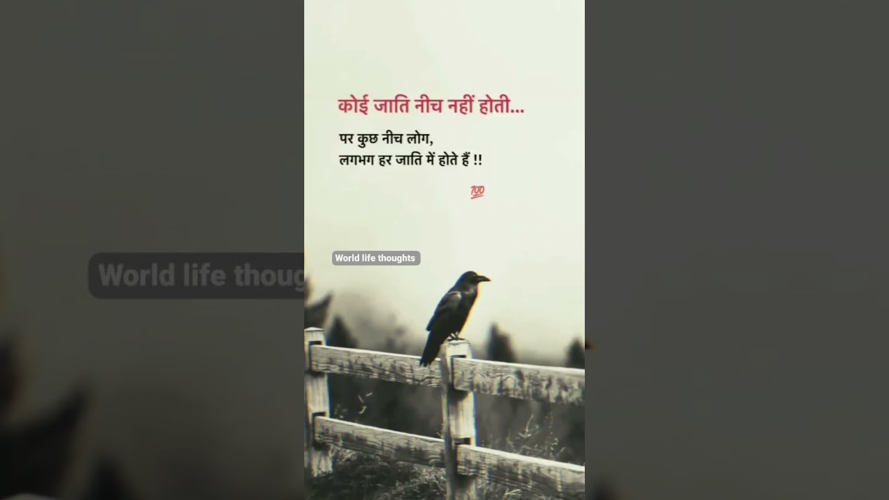जाति #viralvideo #life #motivation #shortsvideo #quotes #shortvideo #trending #viral #video #caste