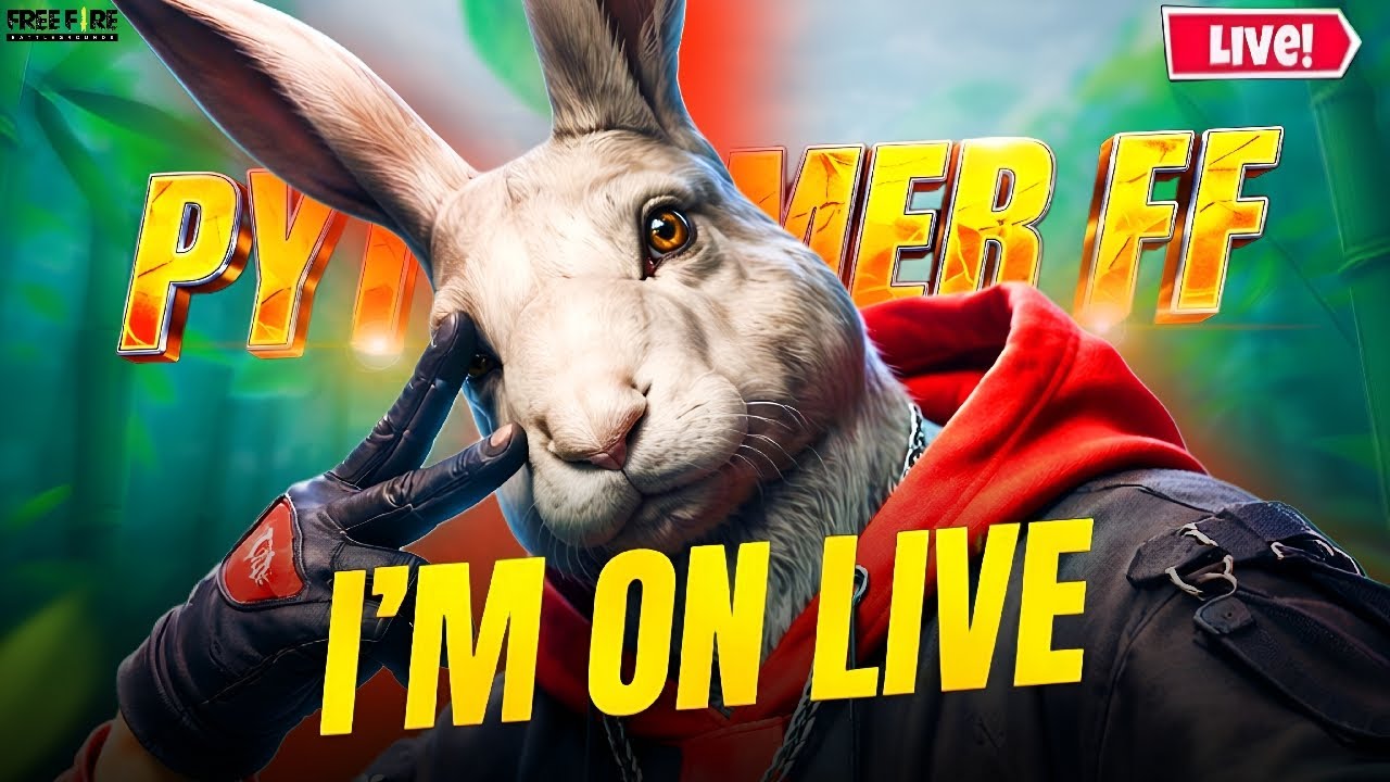 Live streaming of PYTGAMERFF