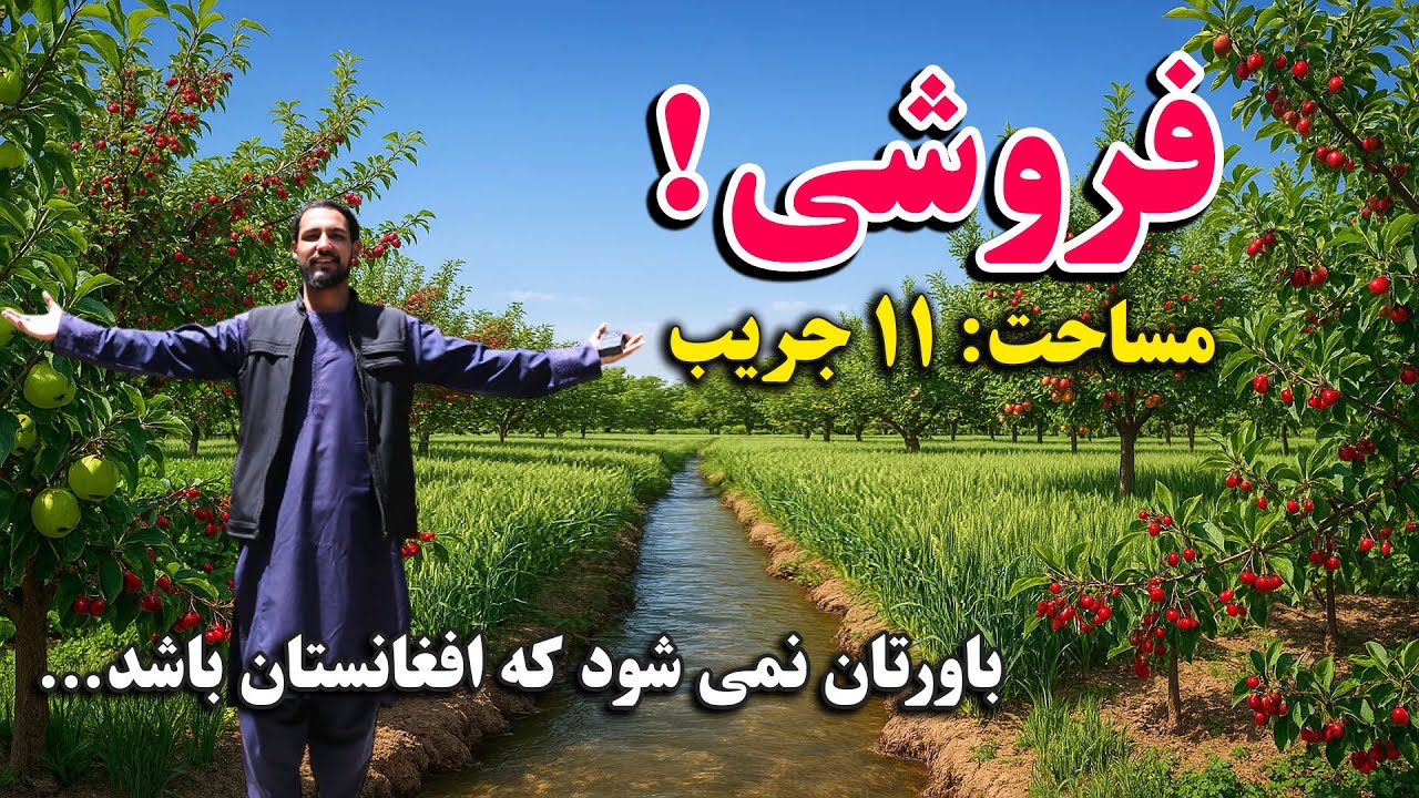 فروش عاجل باغ خاص افغانستان / قیمت مناسب با جور آمد/ حیف است که این ملک را نخرید / عجله کنید عزیزان