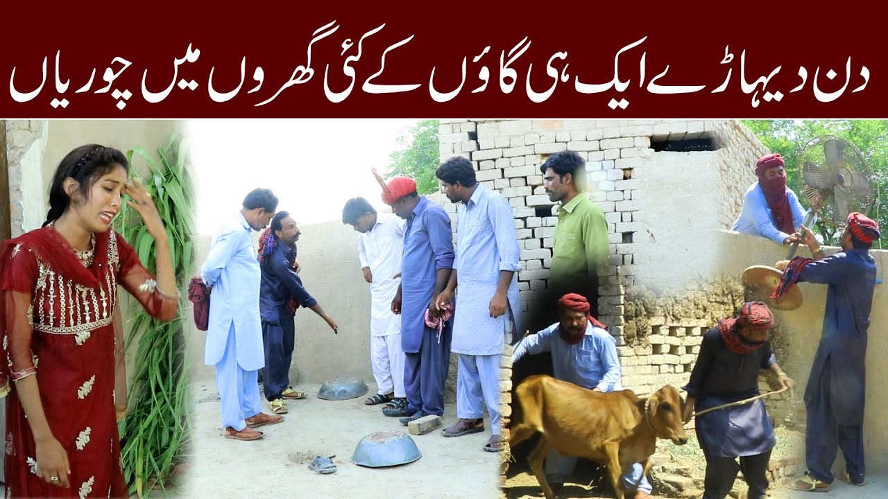 Funny Moments//MOla Bakhsh Bhotna Falak Sher bilo jutti & Shazi New FunnyVideo By MBTv