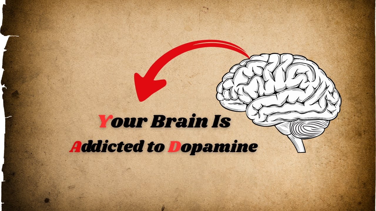 Your Brain Is Addicted to Dopamine (This Is Ruining Your Focus) 