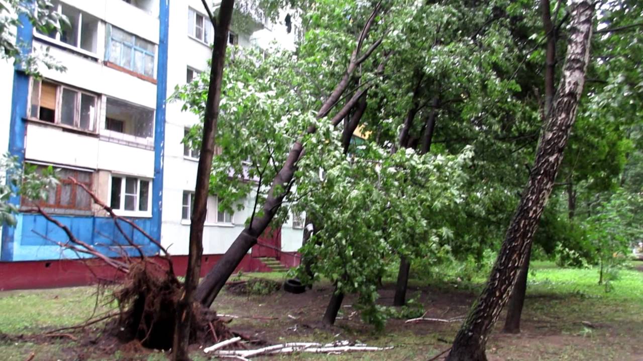 Ураган в Москве. Последствия