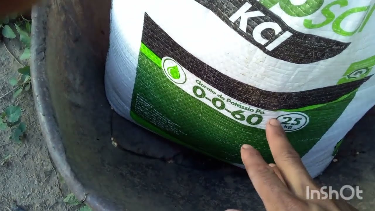 adubação para enchimento de fruto pimentão, tomate e etc