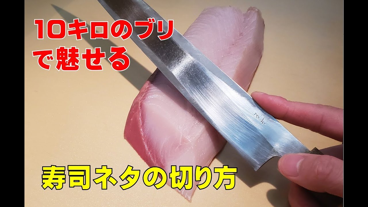 【寿司のネタ切り】ブリ１尾で何貫寿司ネタに切れるのか？　Chopping fish　創業100年よろい寿司