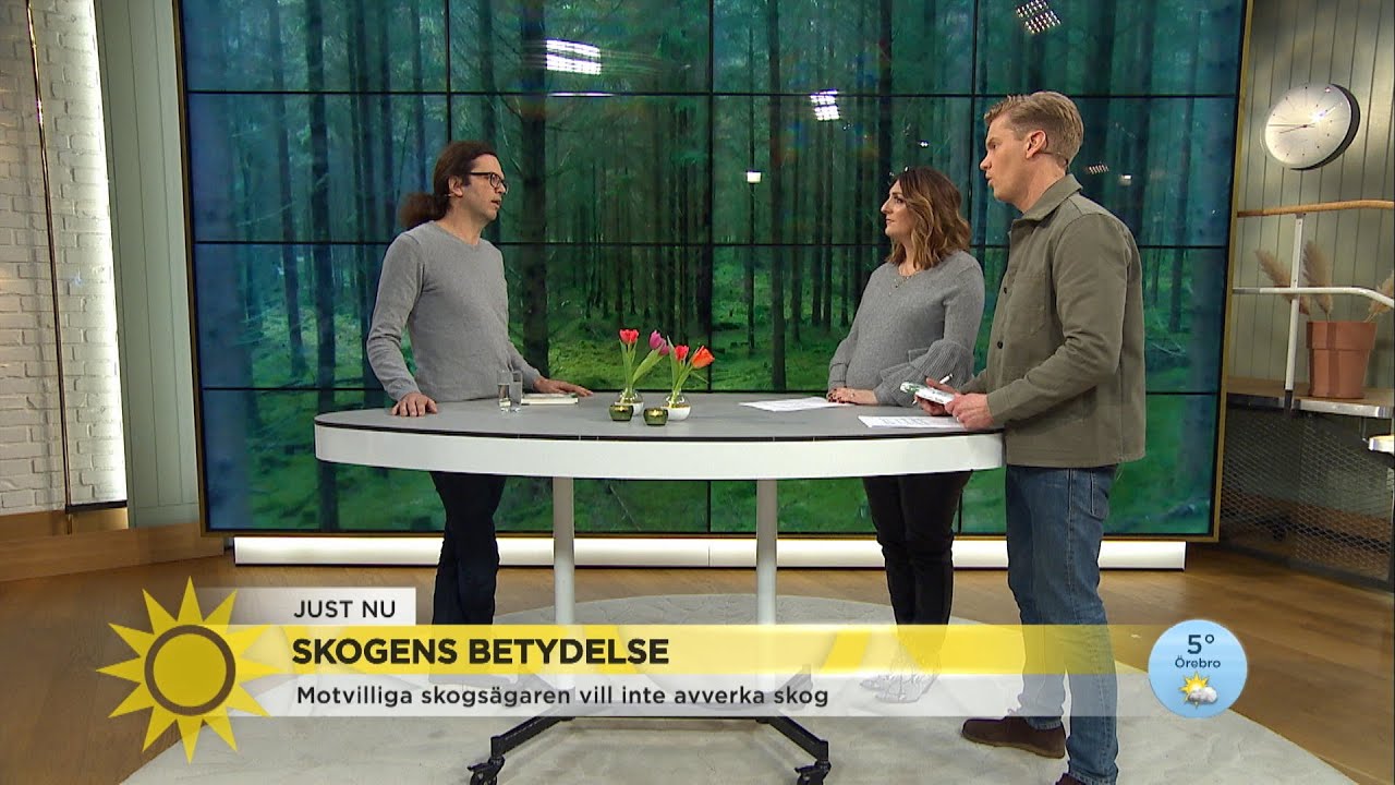 Tar hand om skogen istället för att tjäna pengar på den: ”Bara 3 procent ursko… - Nyhetsmorgon (TV4)