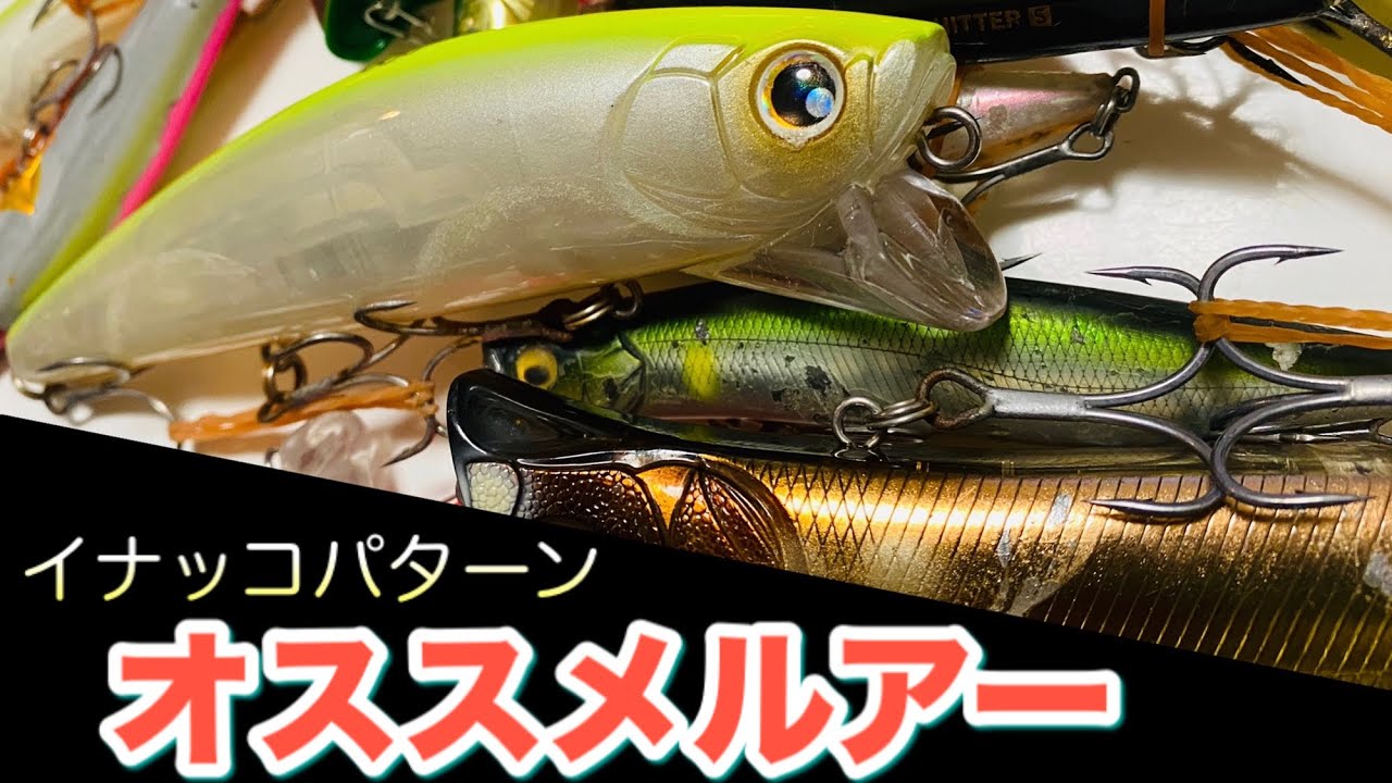 【シーバスルアー】夜のイナッコパターンオススメ紹介！