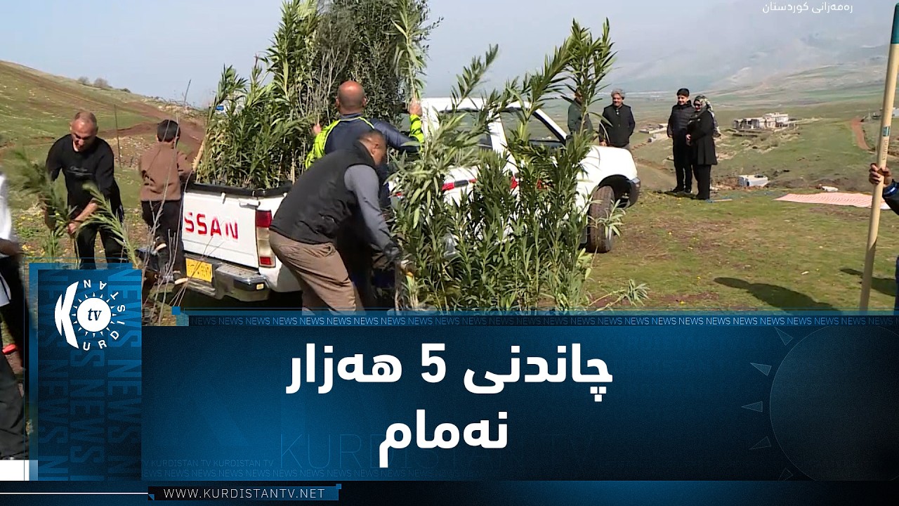 لە ساڵیادی لەدایکبوونی بارزانیی نەمر، چاندنی 5 هەزار نەمام لە سنووری شاری هەڵەبجە