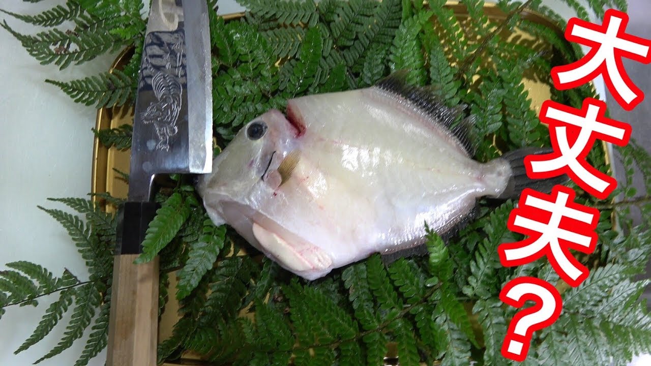アマゾン産のカワハギをさばいて、薄造りと肝醤油で食べてみたら。すごかったよ。
