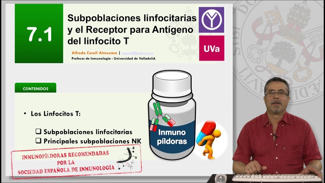 7.1 SUBPOBLACIONES LINFOCITARIAS Y EL RECEPTOR PARA ANTÍGENO DEL LINFOCITO T