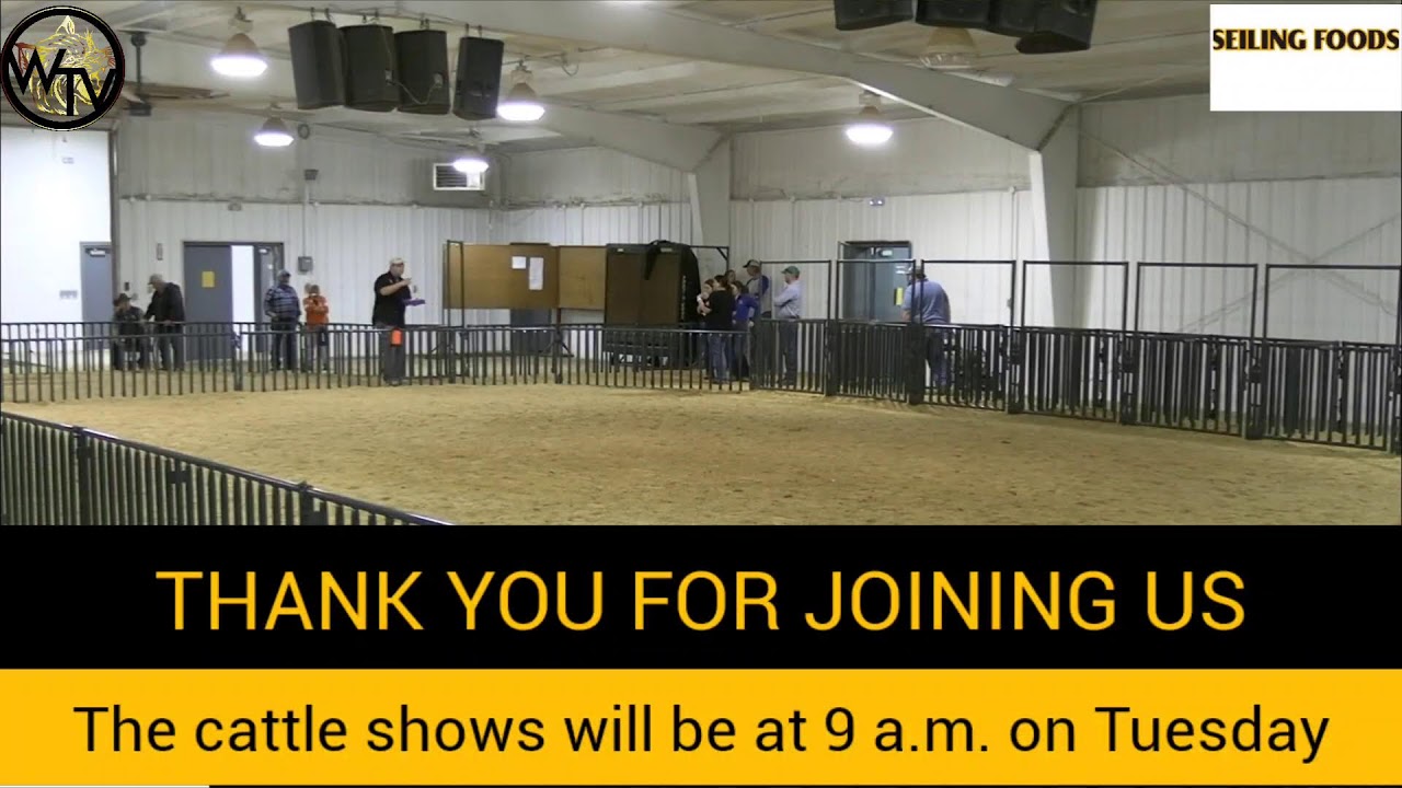 Dewey County Livestock Show Day Two