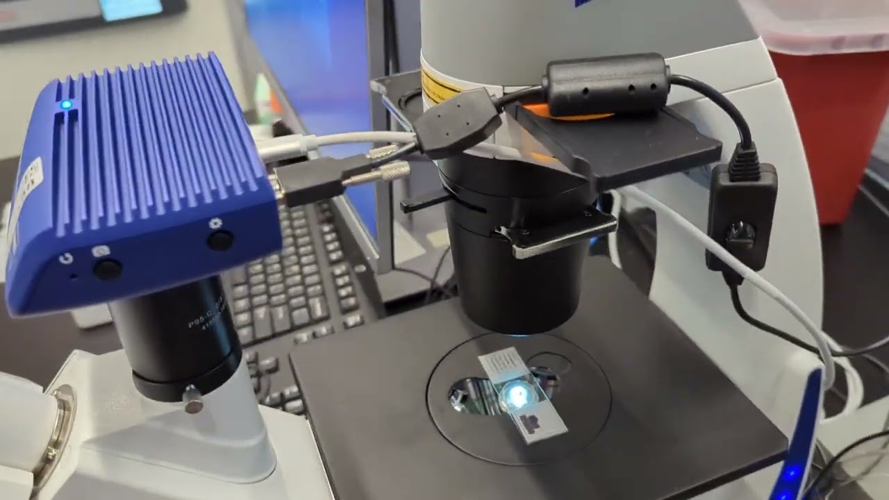 Introduction to Zeiss Primostar iLED with GFP fluorescence, Labscope