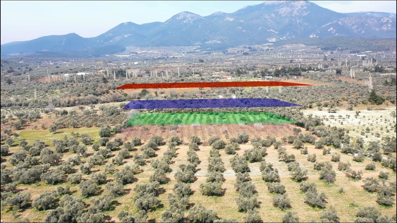 İZMİR KEMALPAŞA GÖKYAKA SATILIK ZEYTİN BAHÇESİ -DRONE ÇEKİMİ