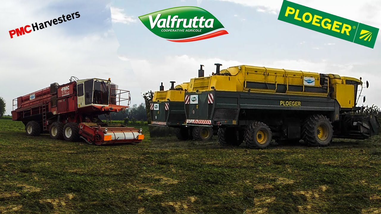 A-G | PMC 979-AT & 2x Ploeger EPD 538| Pea Harvest | Raccolta Piselli da Industria | Valfrutta