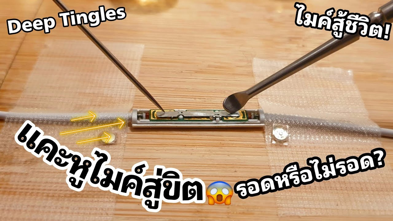 ASMR:แคะหูไมค์สู่ขิต รอด& ไม่รอด?