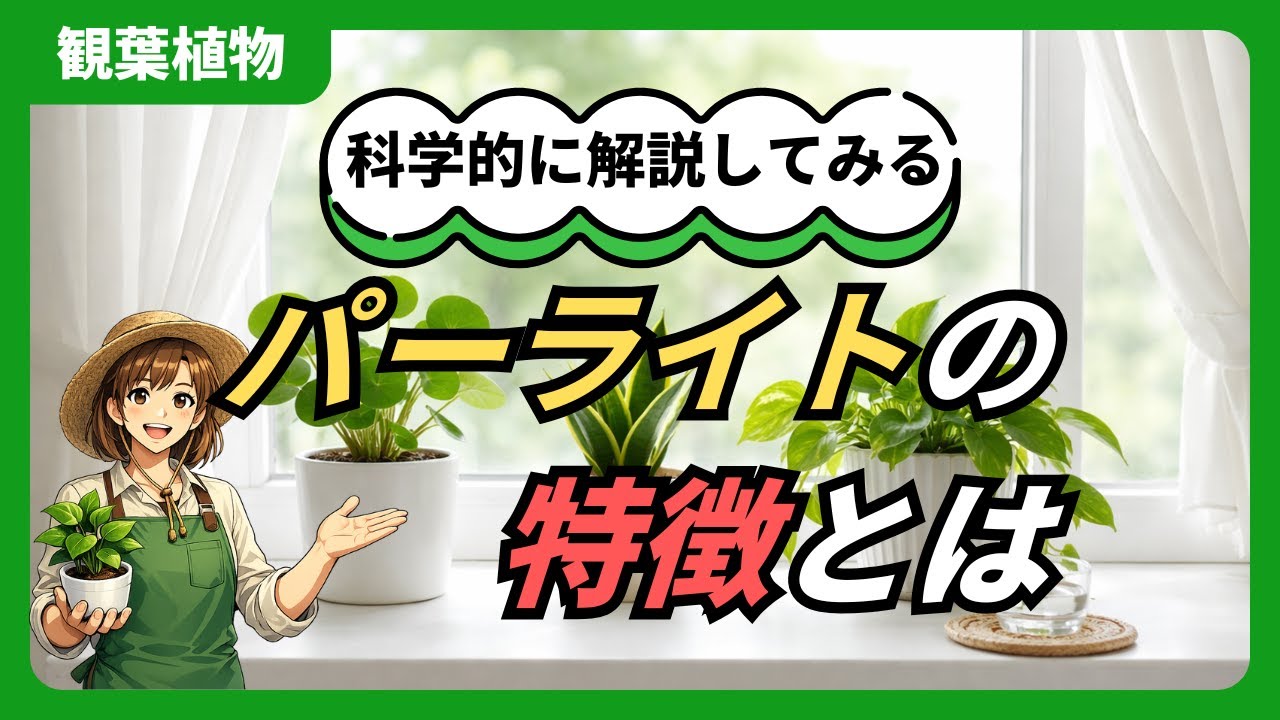 観葉植物【パーライト】の特徴と使用方法とは？？＃ガーデニング＃園芸＃観葉植物＃用土ーライト