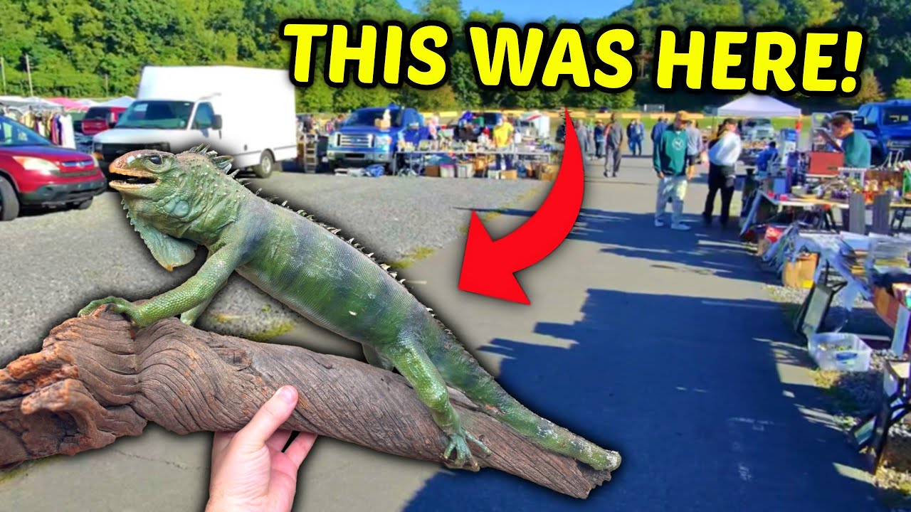 You Can Find ANYTHING At A Flea Market!