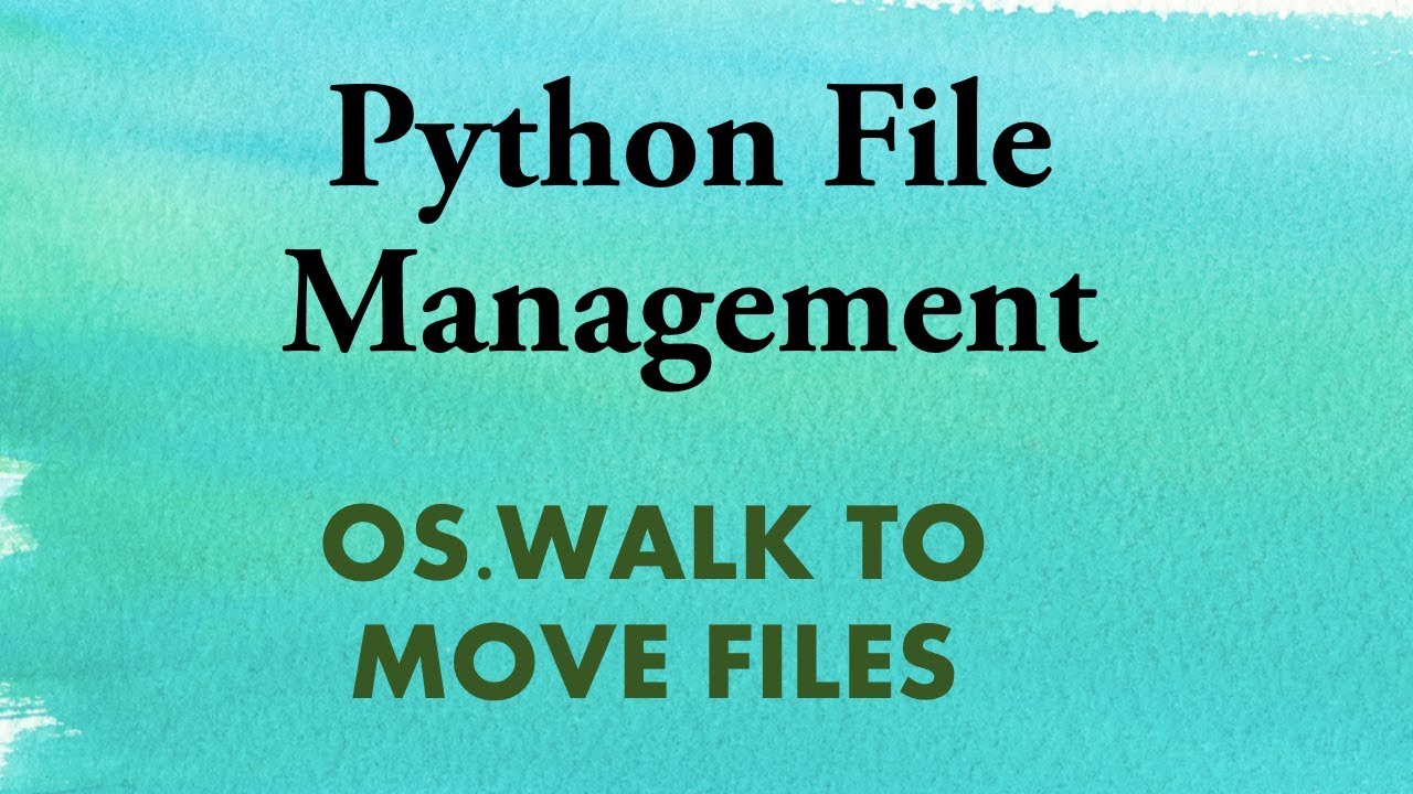 Python Automate  File Management - OS.walk To Move Files
