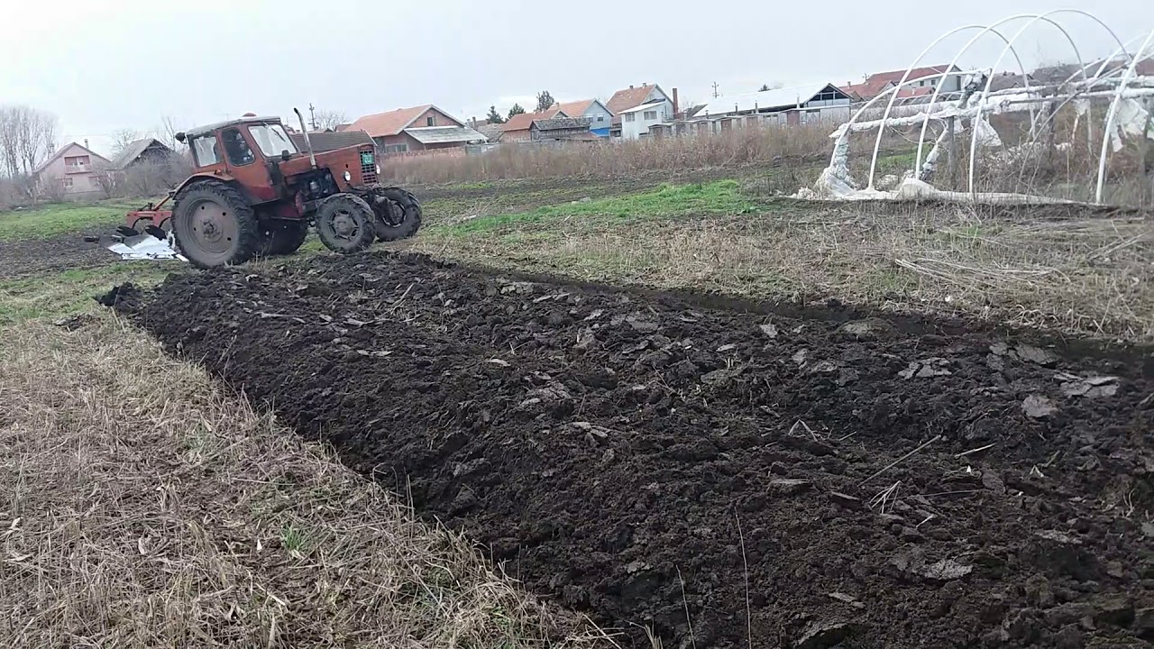 Oranje Golubinci 07.02.2018