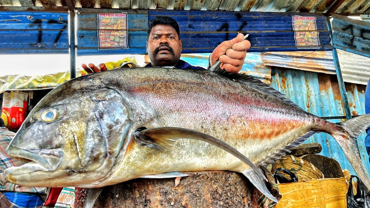 KASIMEDU SPEED SELVAM | HUGE GIANT TRAVELLY FISH CUTTING VIDEO | 4K VIDEO | KM FISH CUTTING 