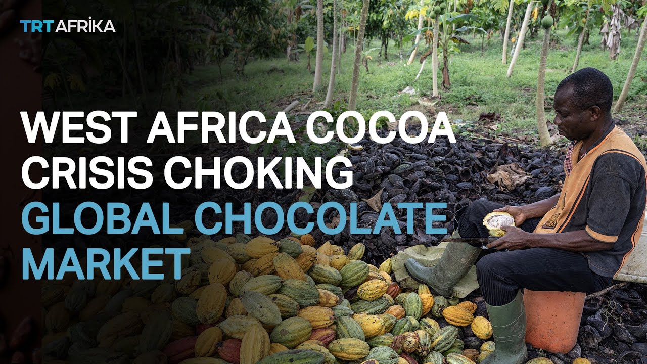 How West Africa Cocoa Crisis Hits Global Chocolate Market
