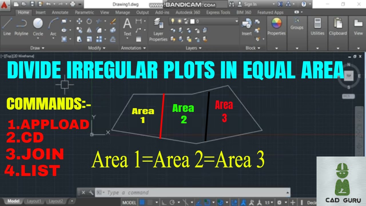 How to Divide Irregular Area