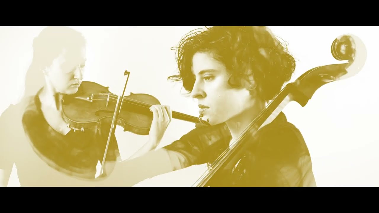 RIZOMA - Francisco Coll