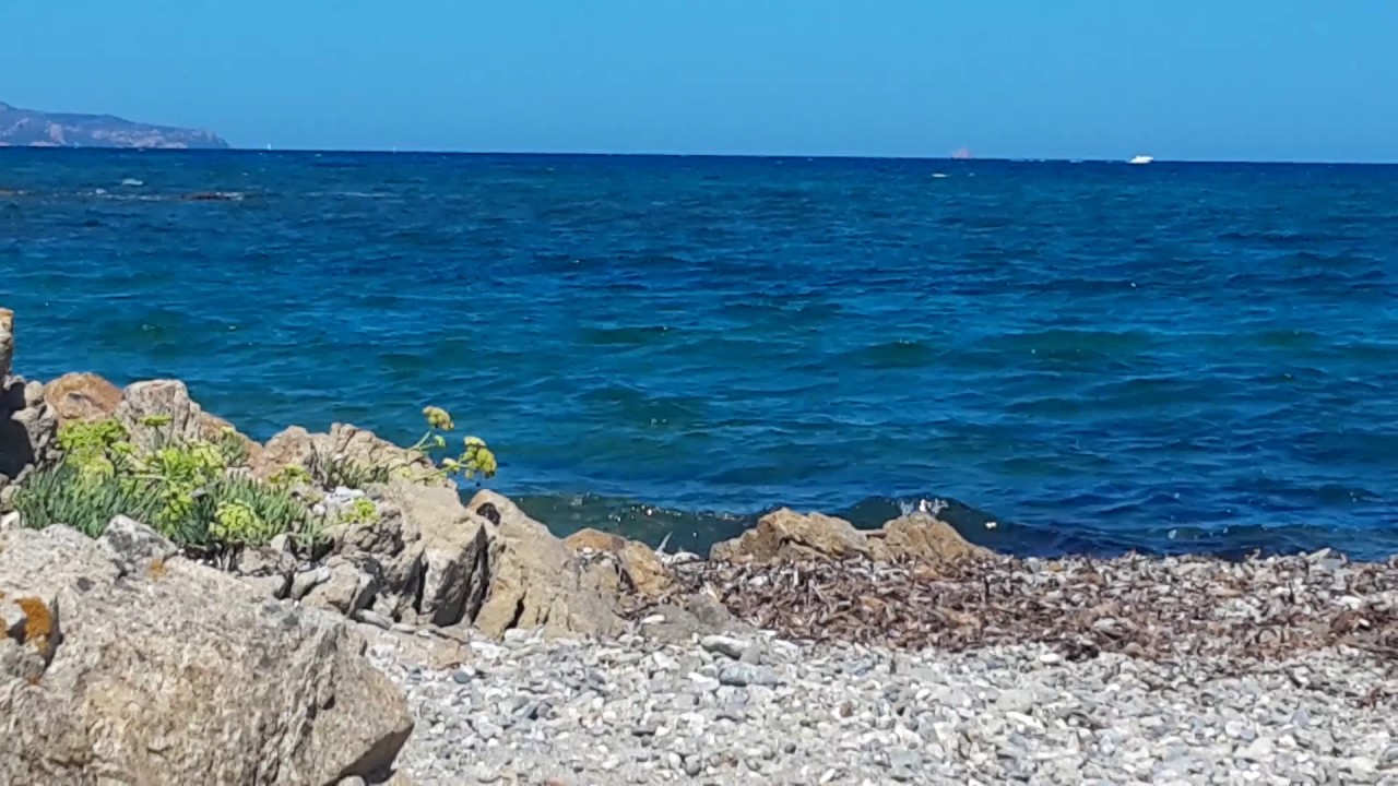 💓Sardinien💓 spiaggia cani costa caddu